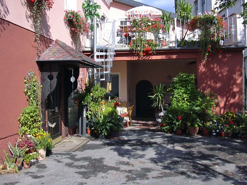 Entrance to a bed and breakfast with lots of plants and flowers.