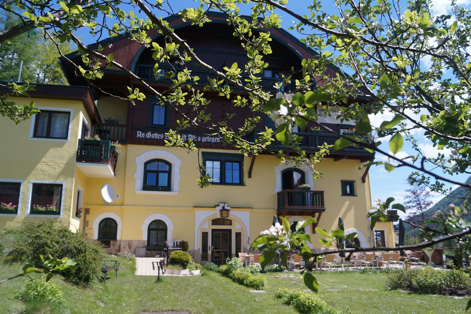 Garden view of the Hotel Belvedere with yellow façade and blossoming trees in the foreground.