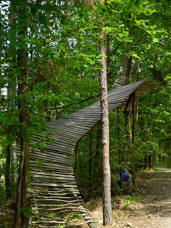 Wooden artwork in a forest stretching between trees.