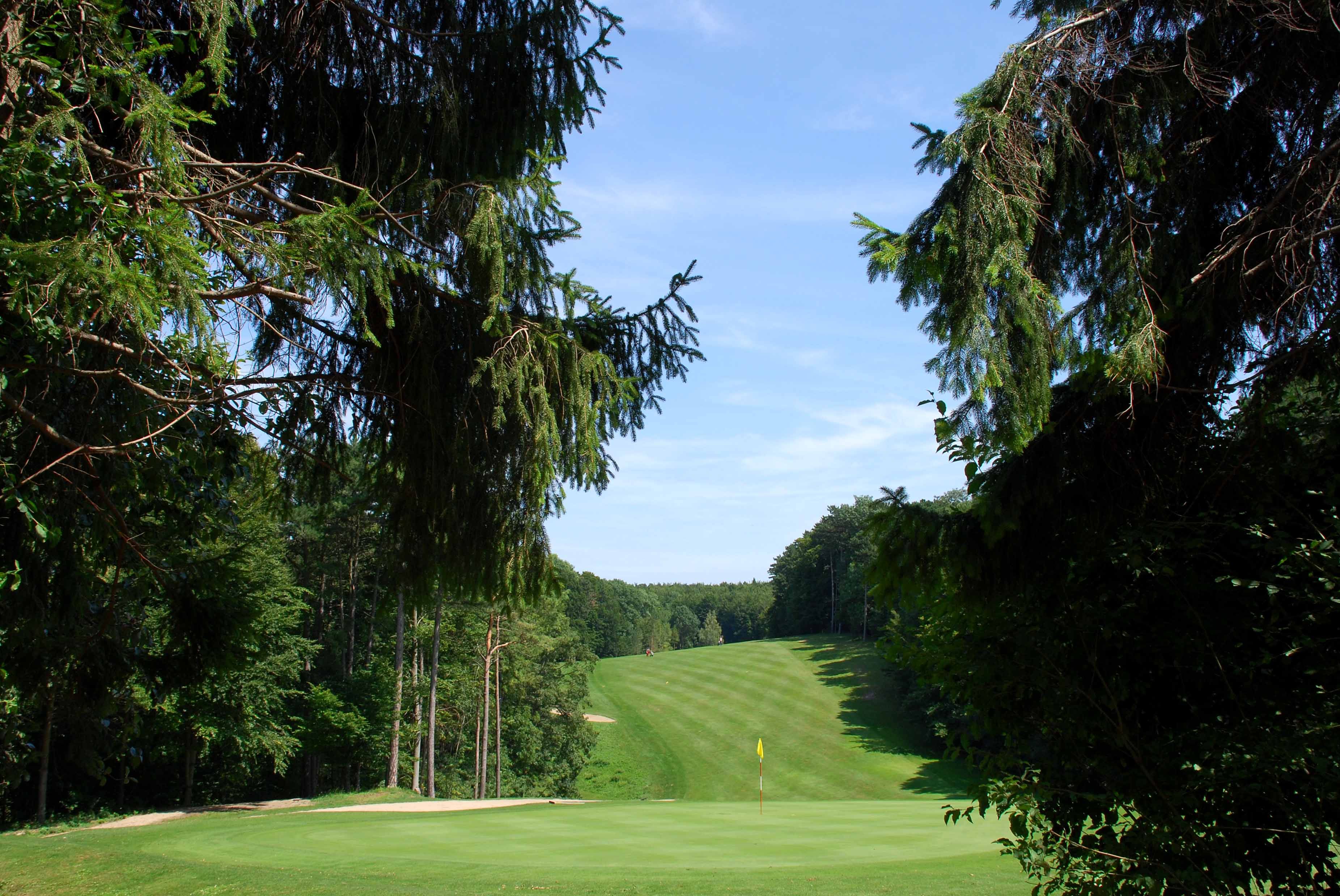 Golf course with green fairway and flag, surrounded by trees.