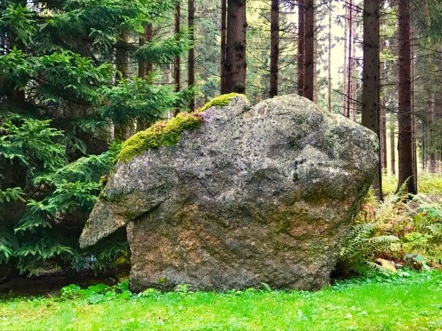 Stone