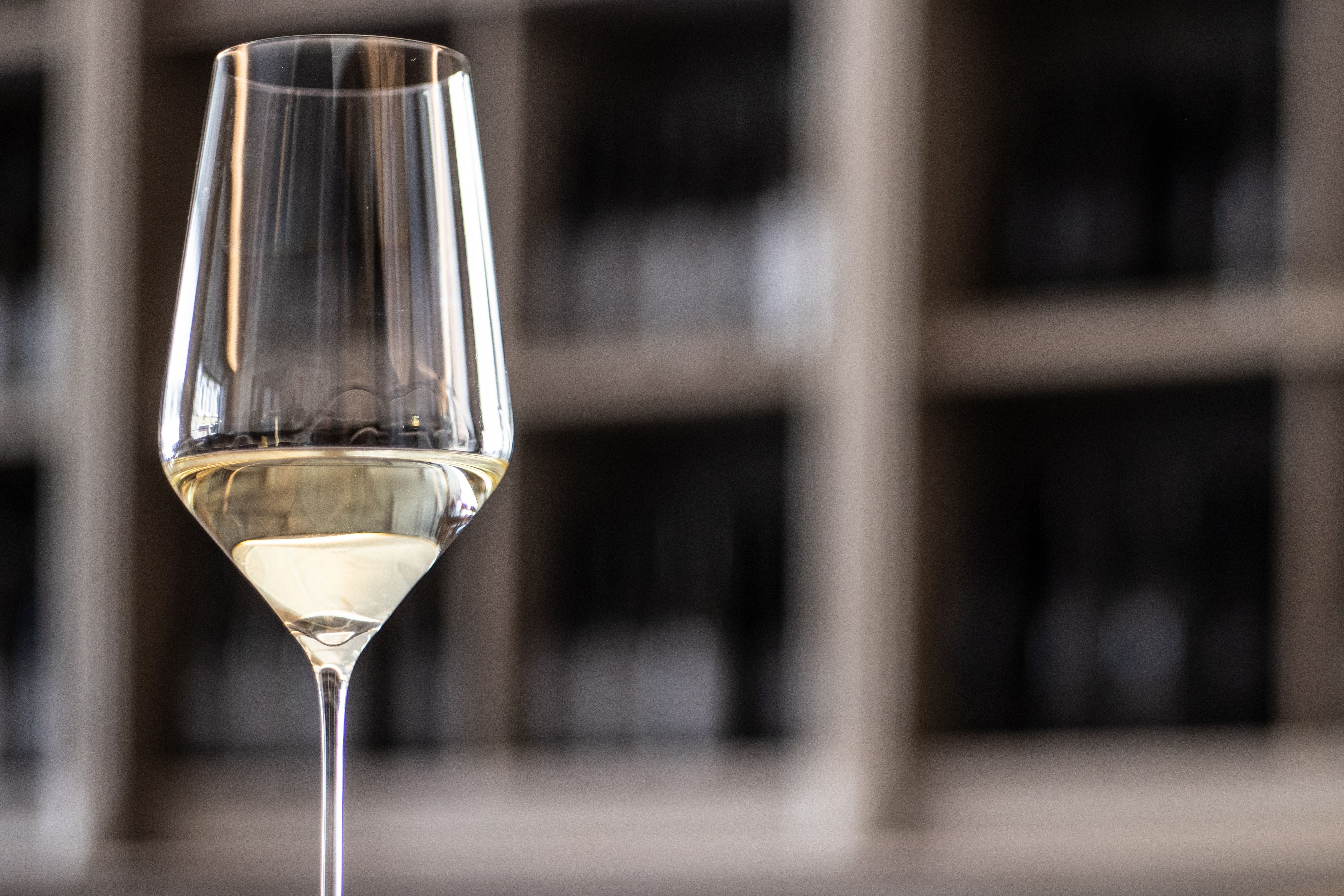 A wine glass with white wine in front of a blurred background.