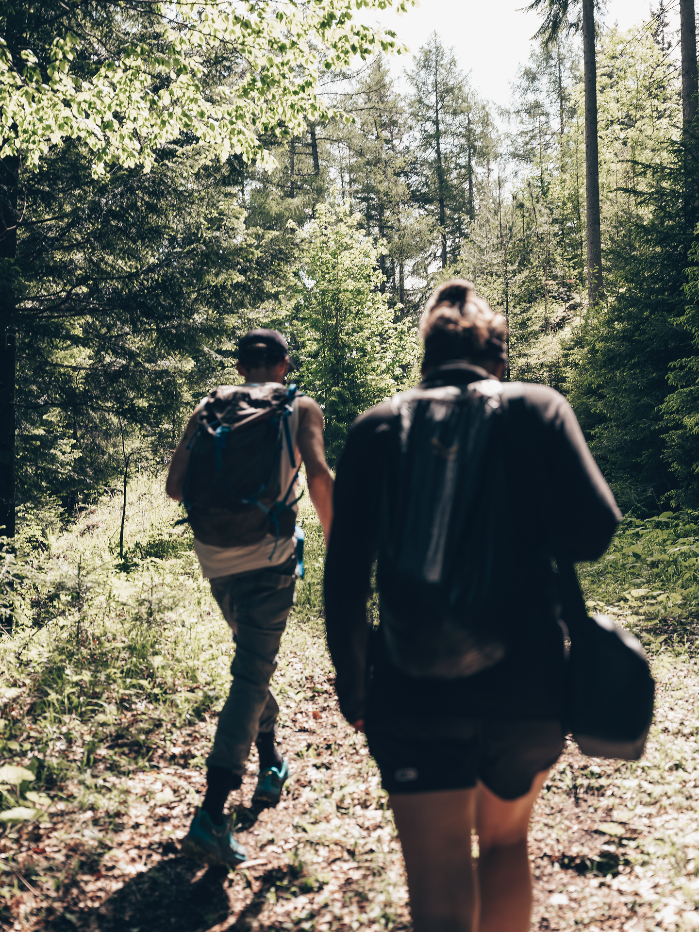 A gentle hiking trail winds through the lush, green landscape, surrounded by majestic trees and the soothing sound of nature. The fresh mountain air invites you to enjoy the beauty of the surroundings and unwind.