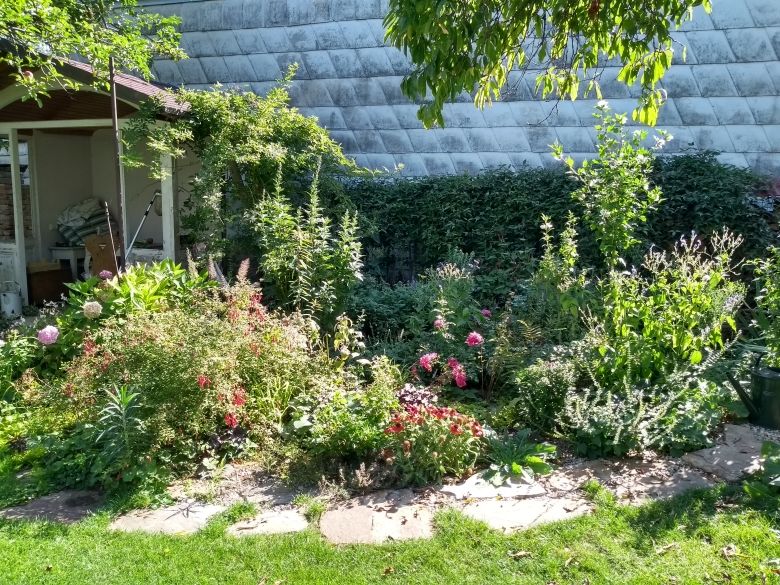 A flowering perennial bed in front of a wall with various plants and flowers.