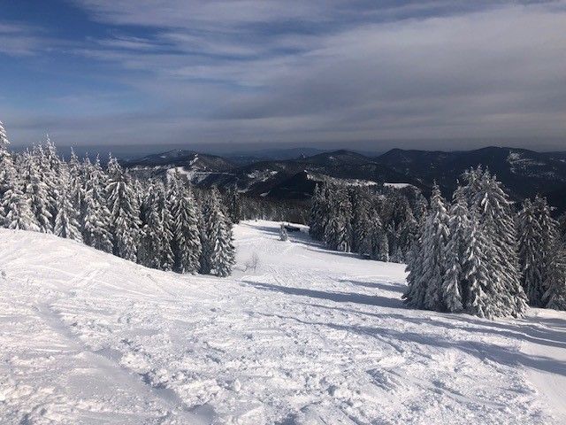 Snow-covered ski slope with fir trees on Unterberg.