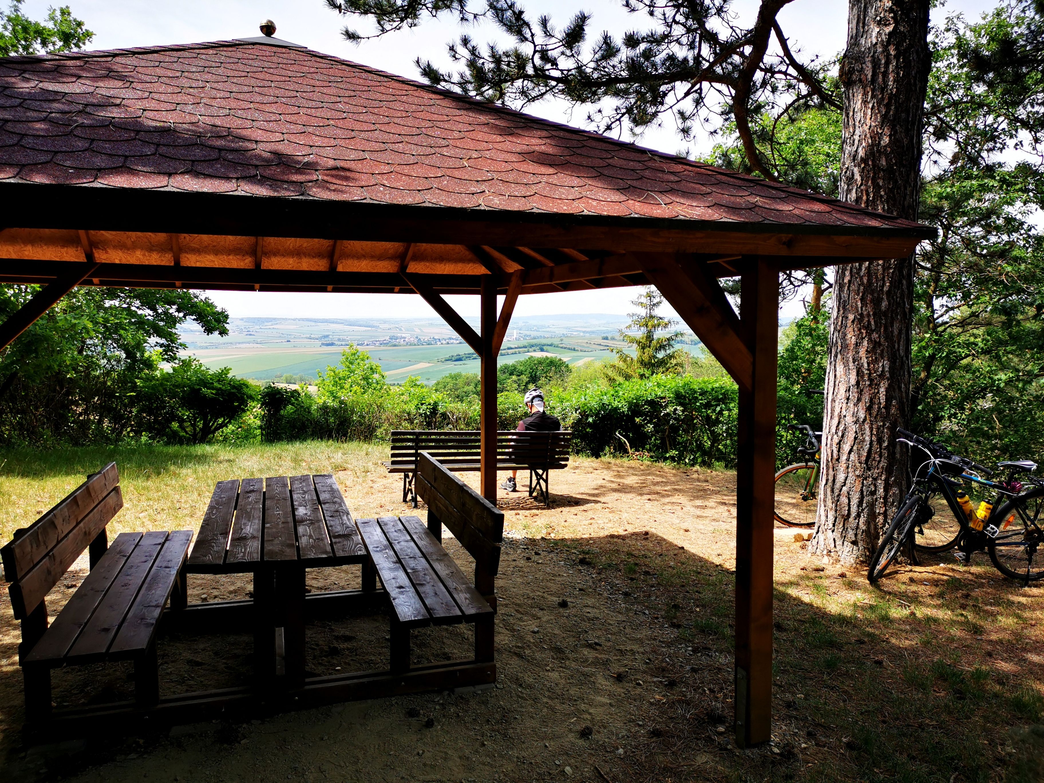 Wooden pavilion with table and benches, view of vineyards, bicycle on a tree.