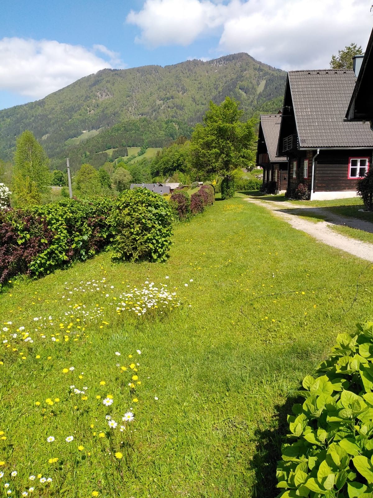 Vacation homes Kogelsbach