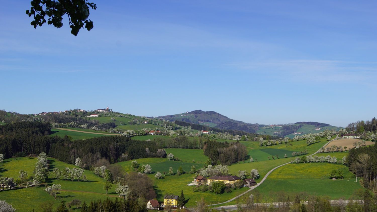 Panoramic view on the Trefflingblickweg