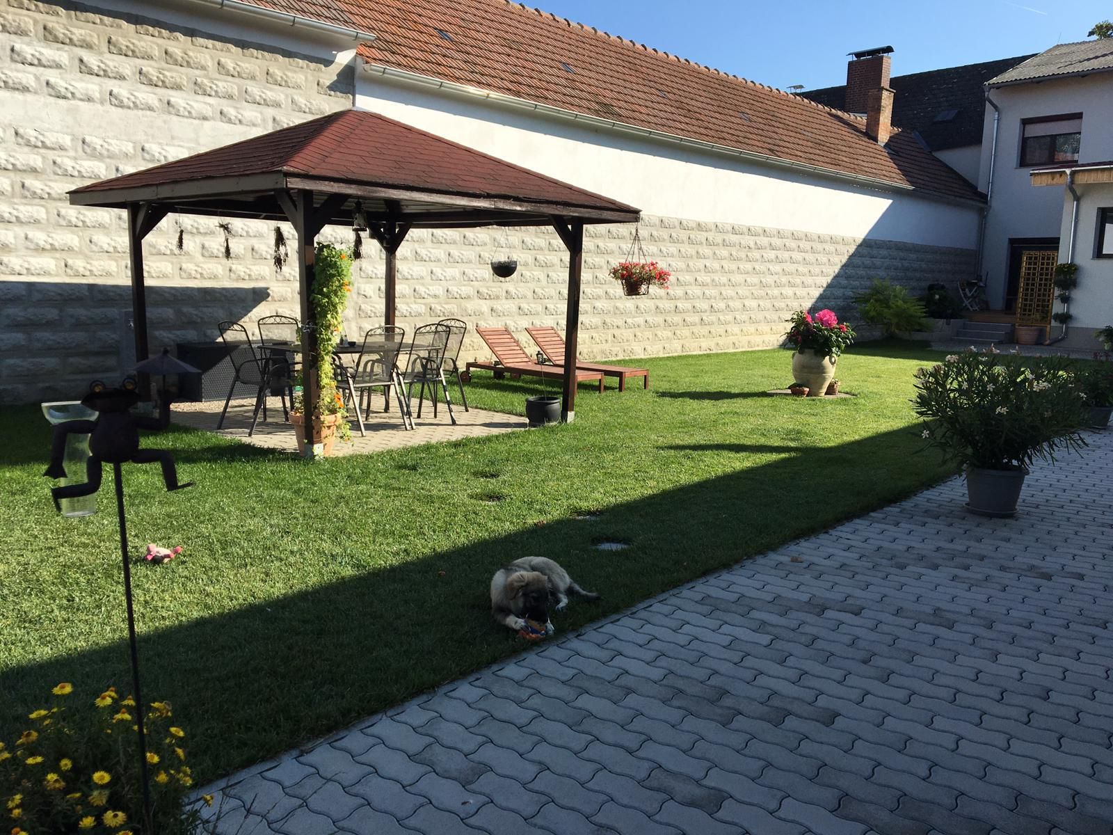 Cozy sunbathing lawn