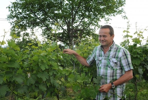 Winery Leopold Blauensteiner