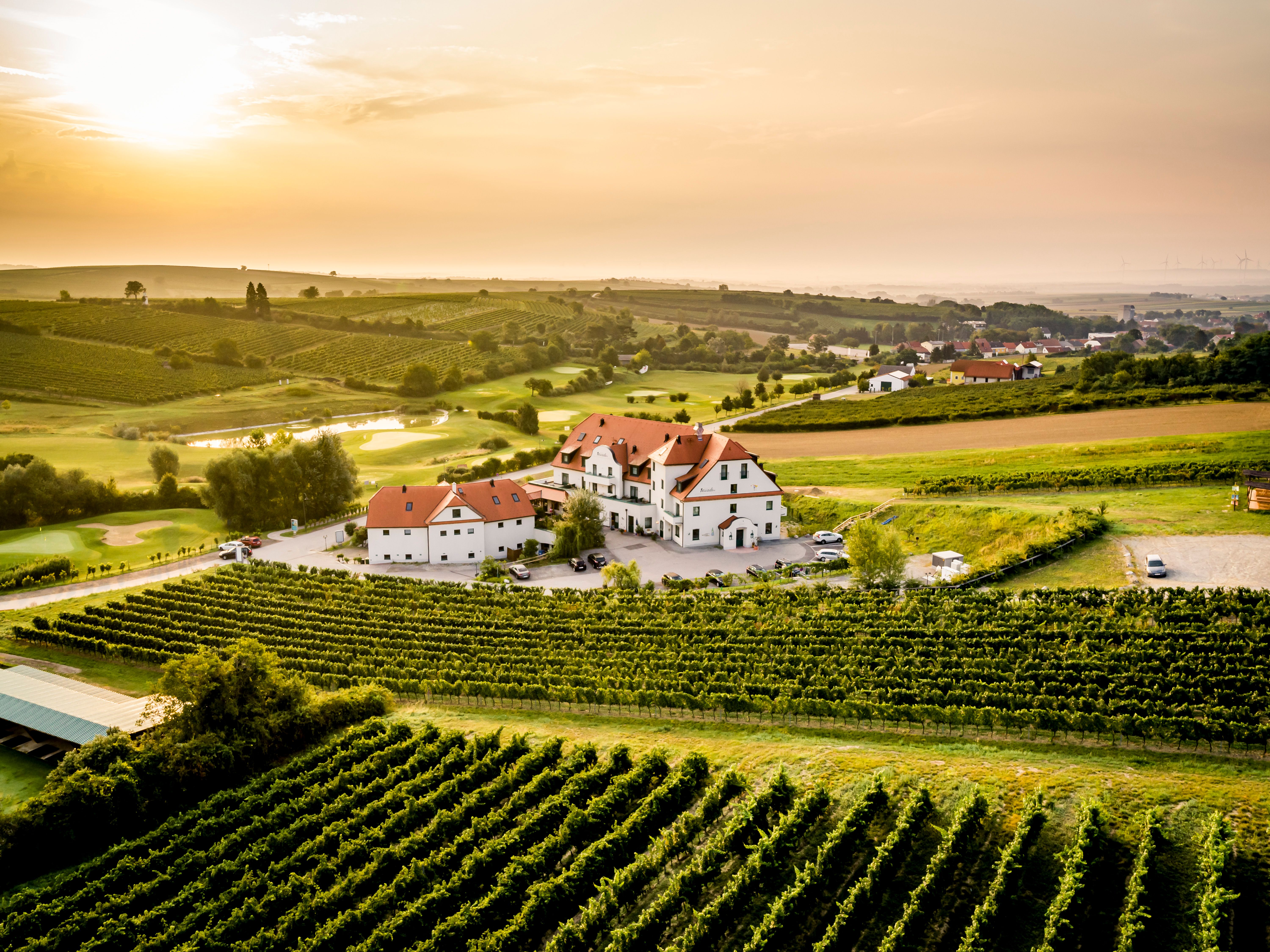 Aerial view of a hotel surrounded by vineyards at sunset.