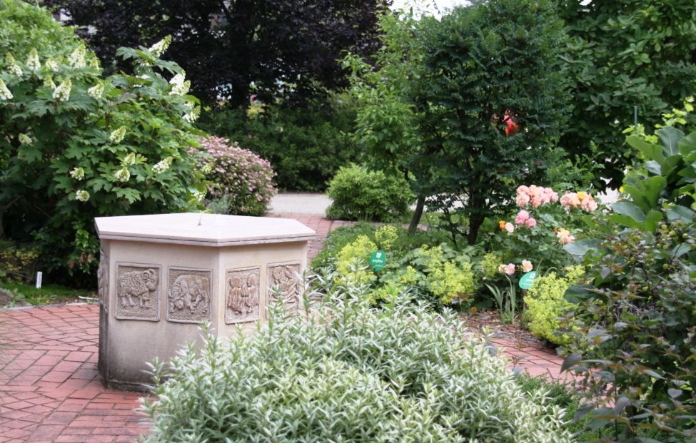 A well-tended garden with a stone fountain and flowering plants.
