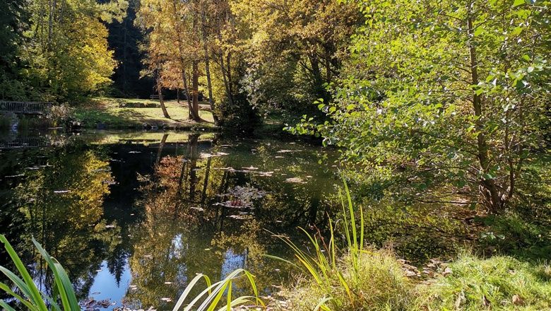Sachsenbrunn ponds