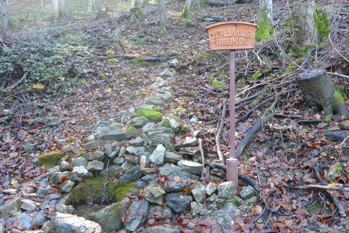Kalmusbründl near Scheibbs
