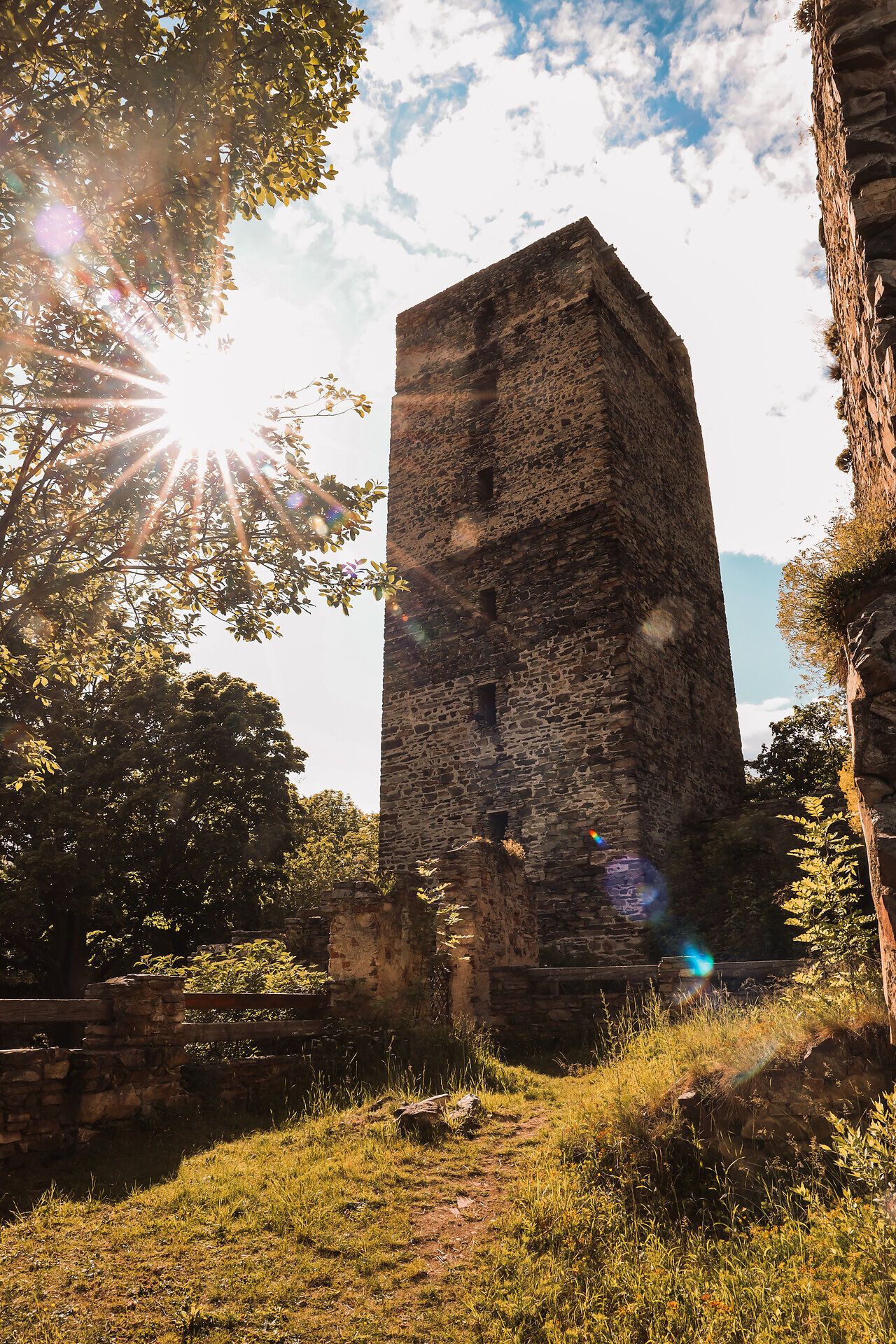 Ruin Schauenstein in the sunlight with trees in the foreground.