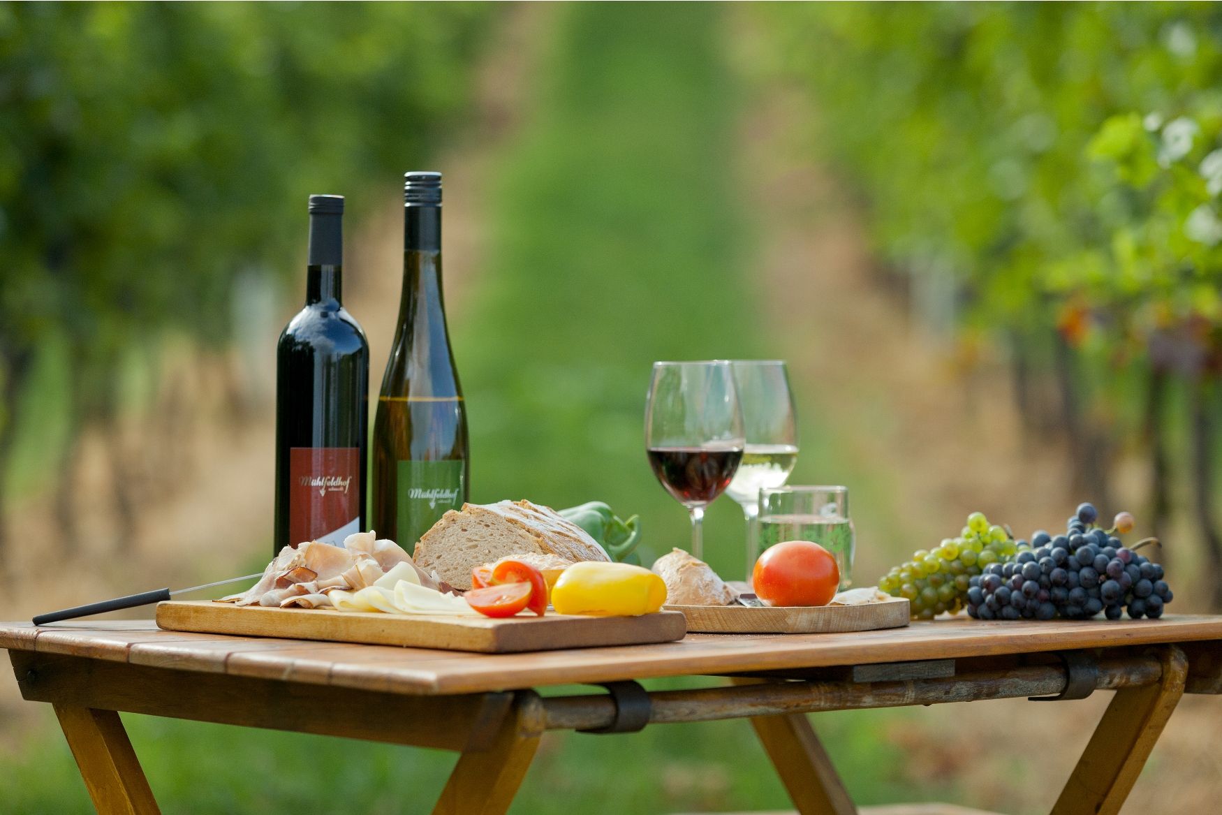 Picnic table with wine bottles, glasses, bread, cheese, ham and grapes in a vineyard.