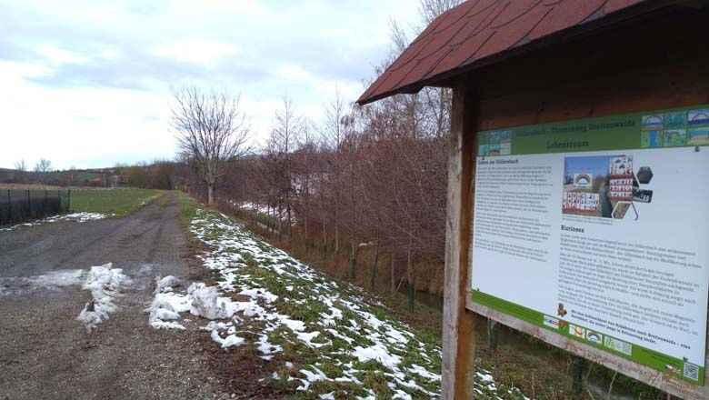 On the Göllersbach theme trail