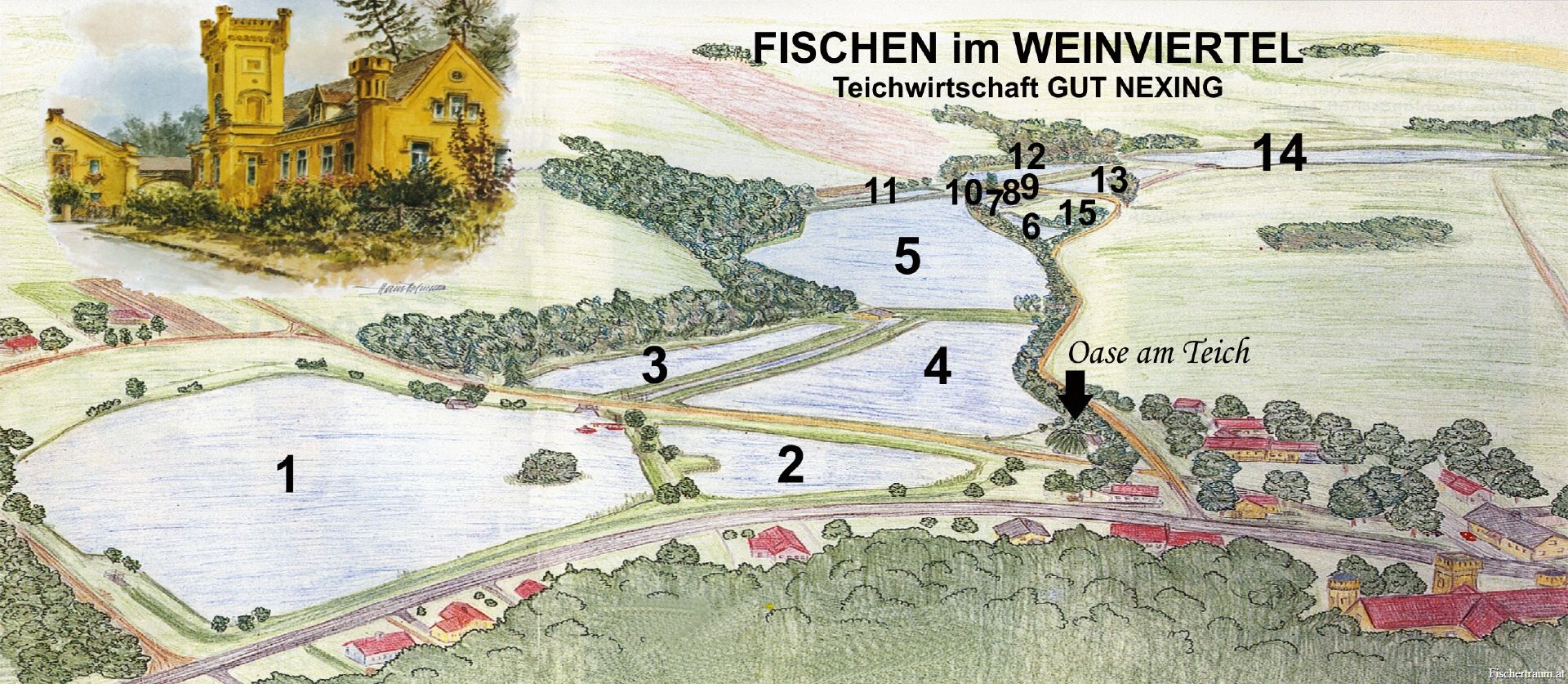 Illustration of a pond plan with numbered areas and a building in the Weinviertel.