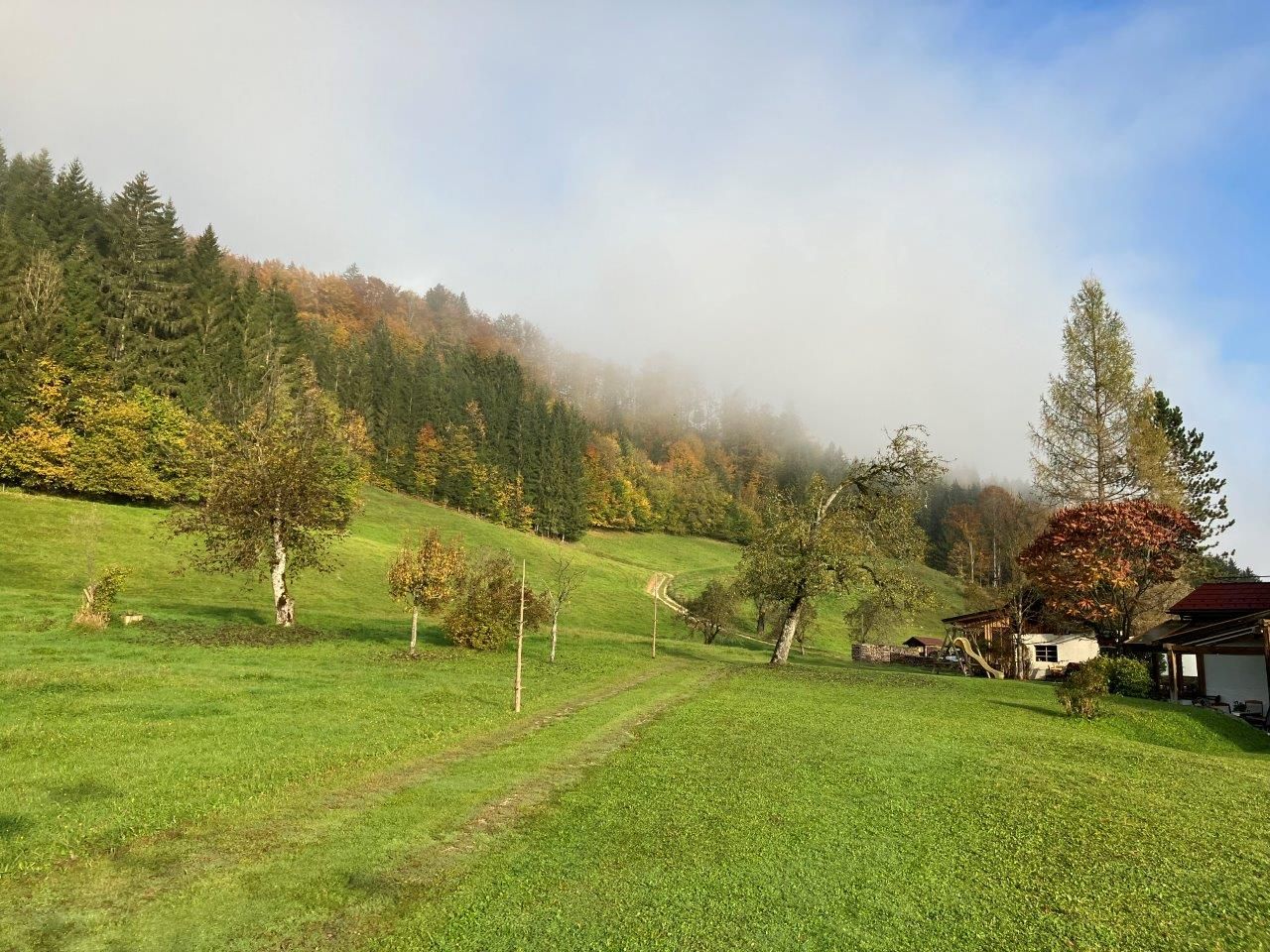 spacious-garden-in-front-of-the-holiday-house
