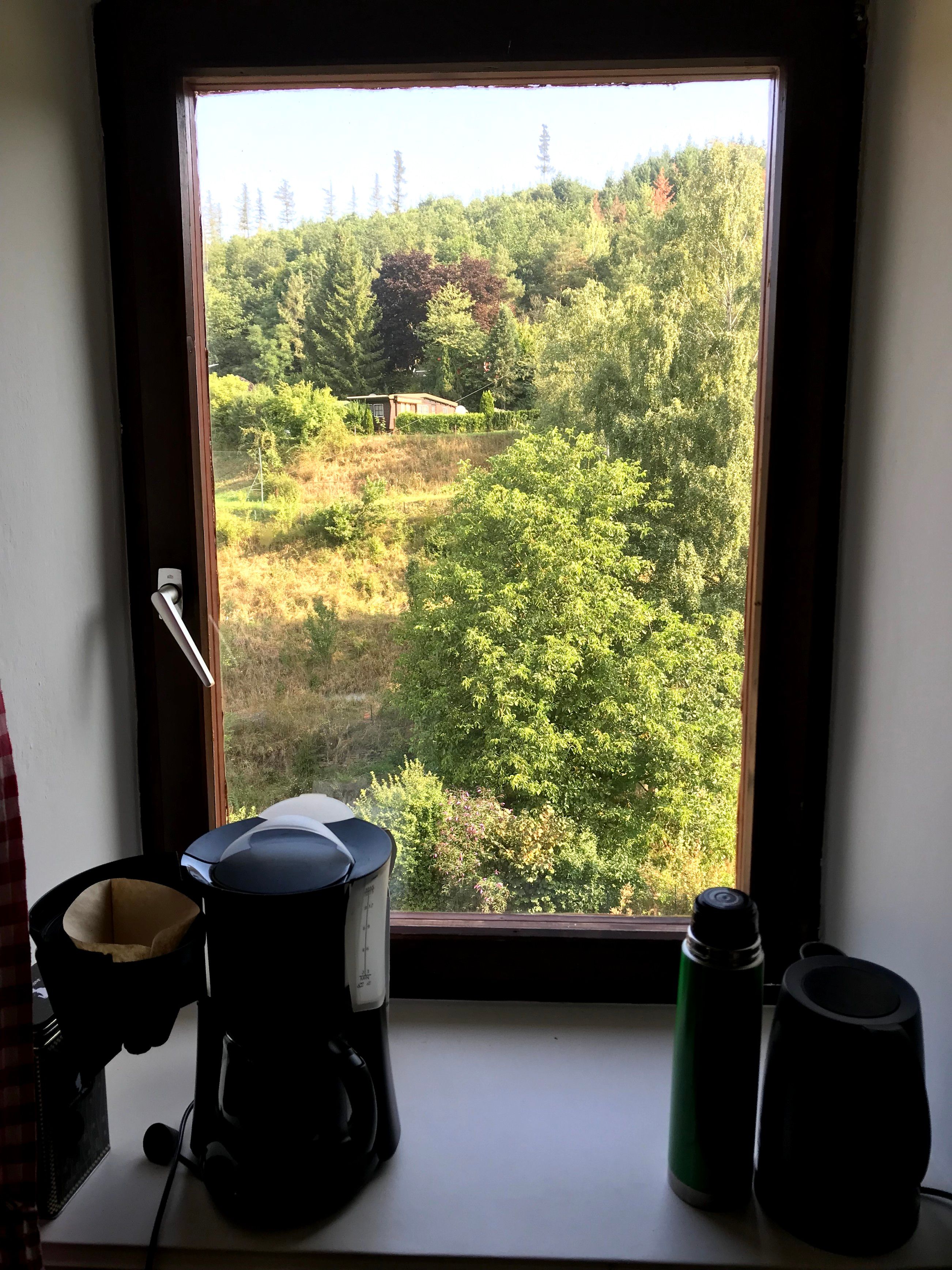 View from the kitchen window