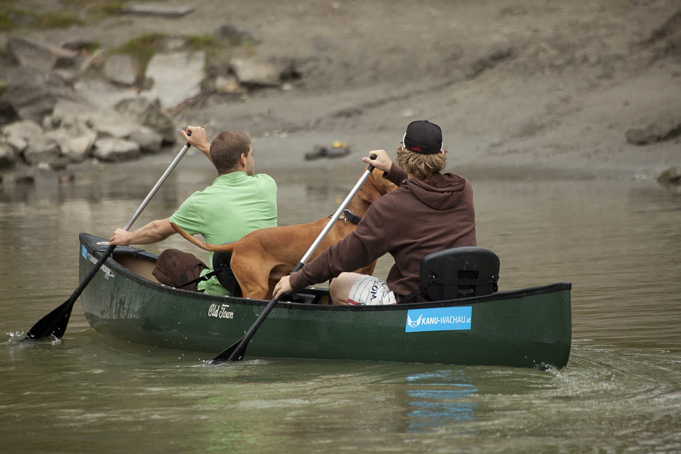Two people and a dog in a green canoe on a river.