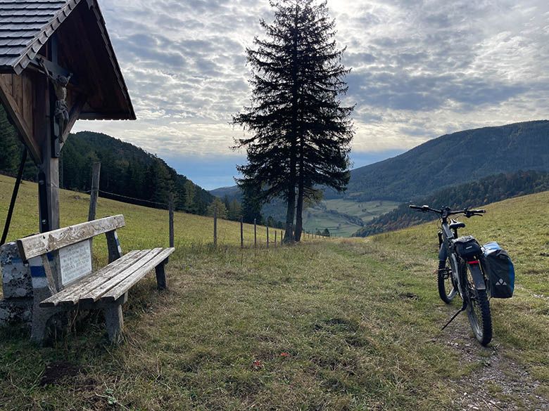 Landscape with bench, tree and bicycle on a hill overlooking the valley.