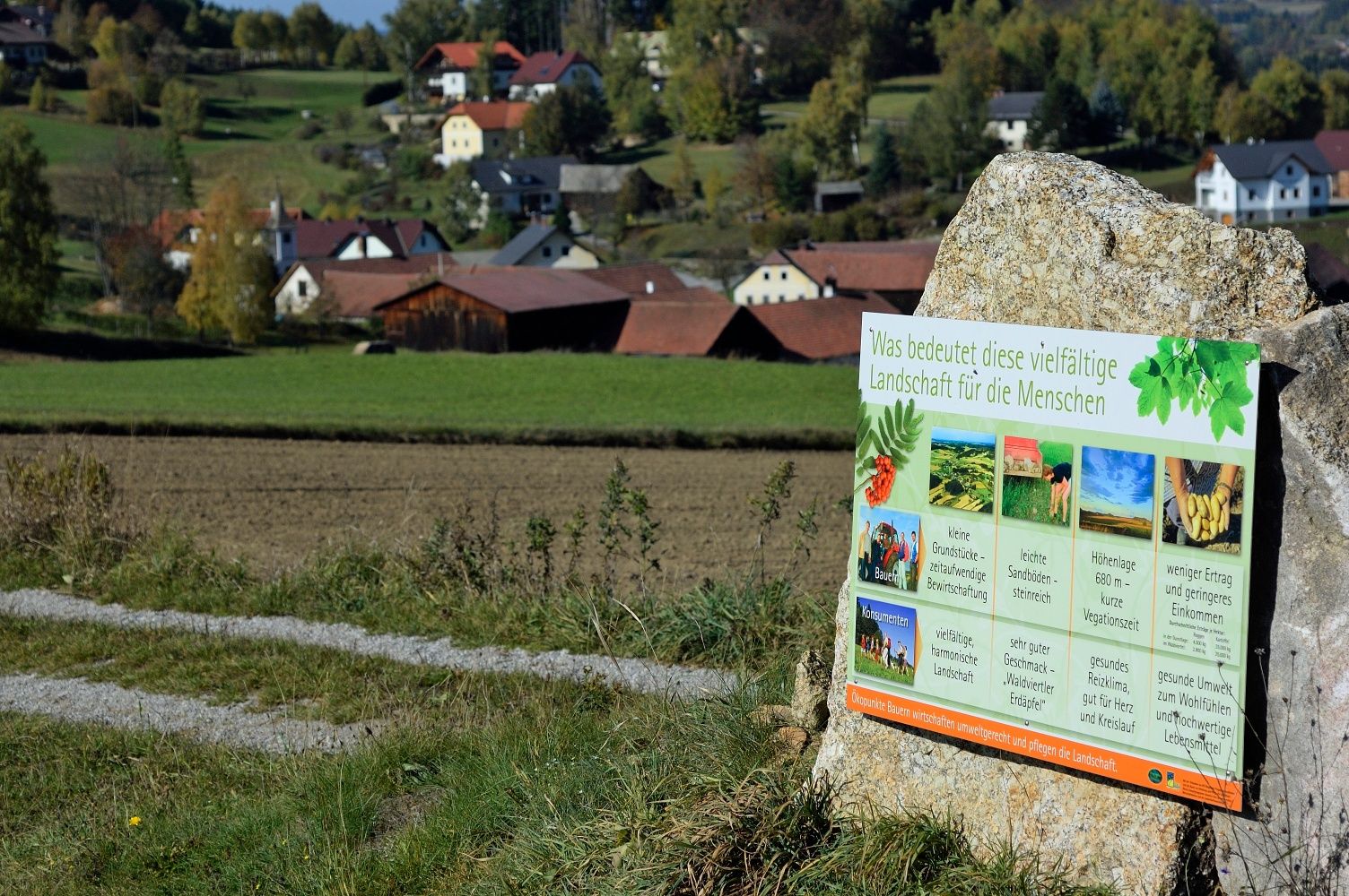 Information board along the way
