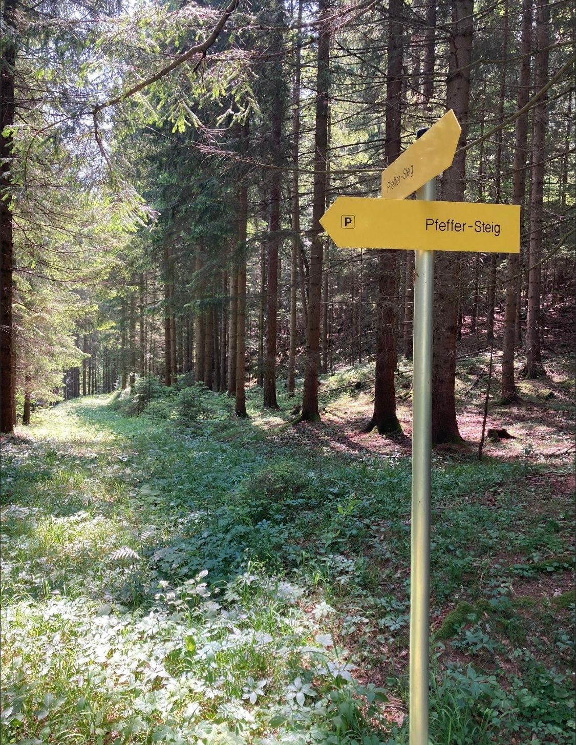 Pfeffer Steig signage