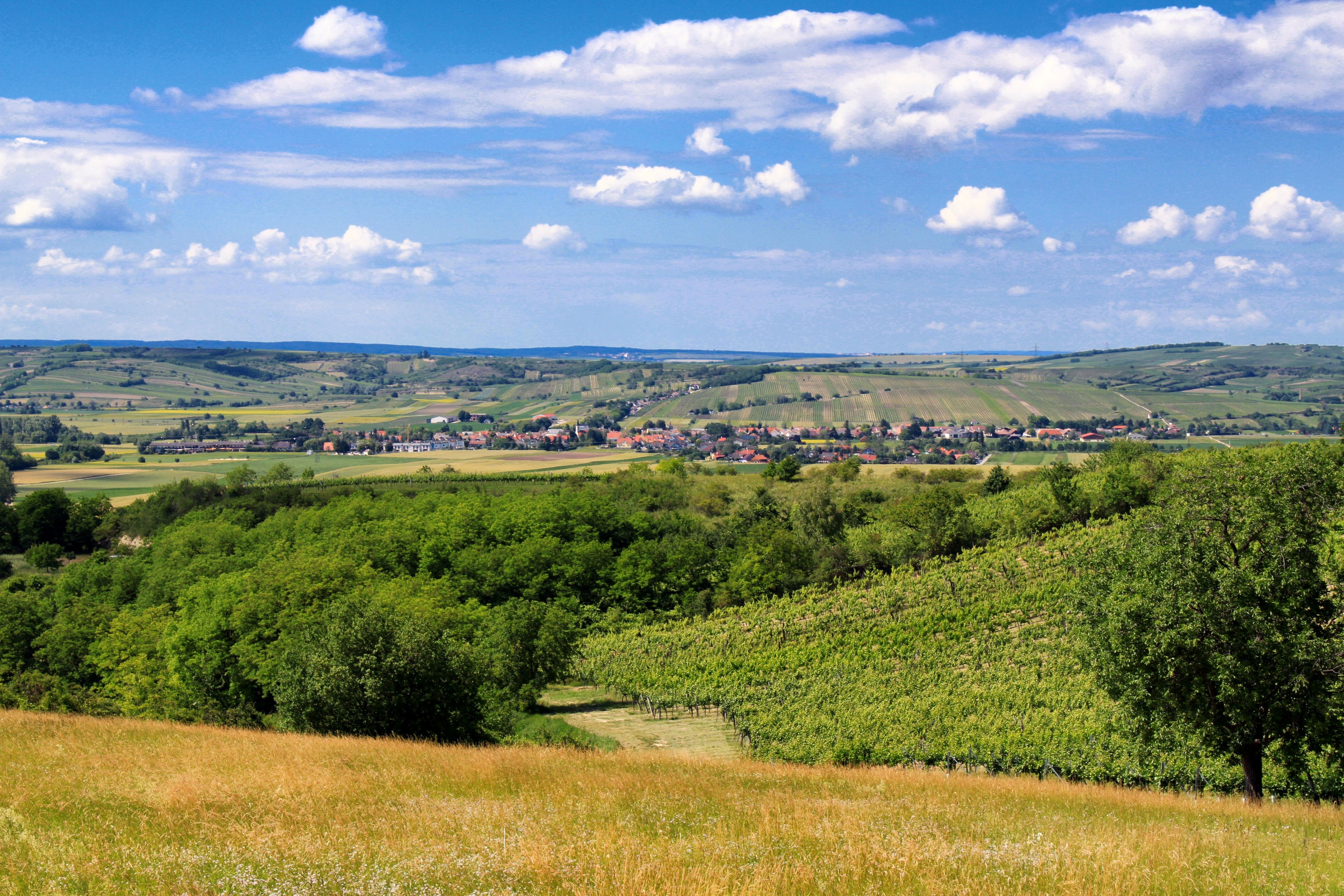 Landscape with green fields and a village in the background under a blue sky.