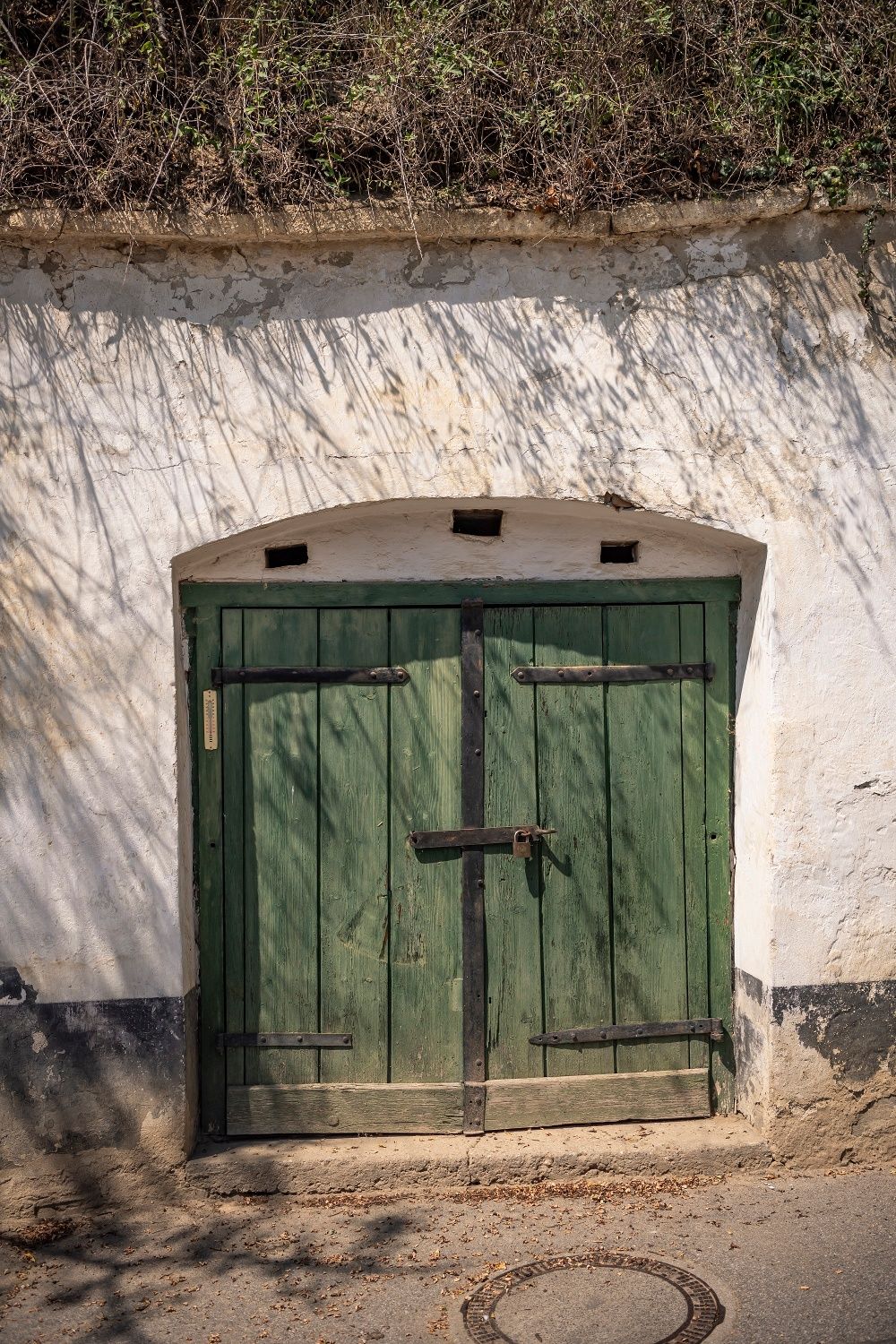 Wine cellar lane Stixneusiedl