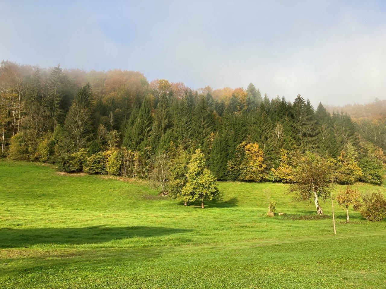 spacious-garden-in-front-of-the-holiday-house