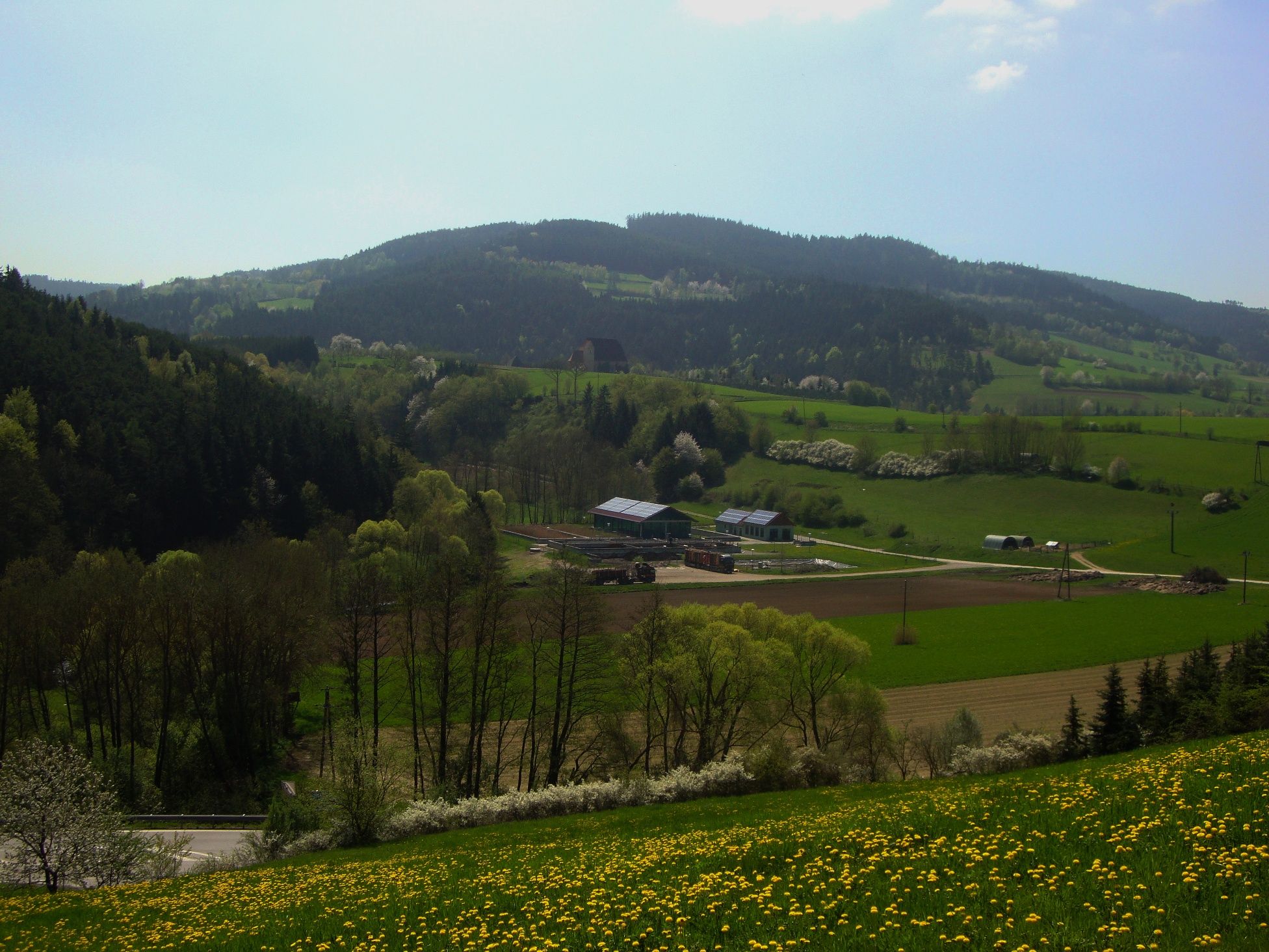 View of St. Anna Church