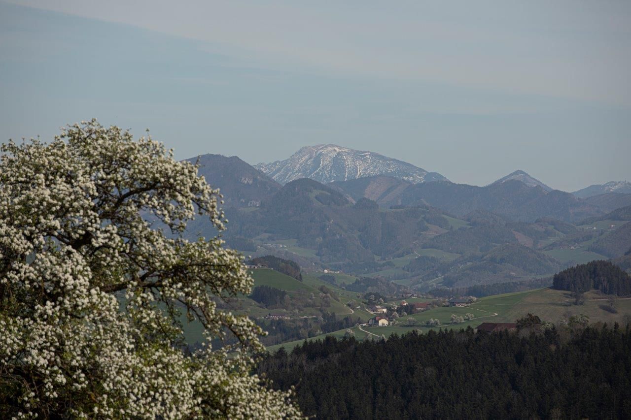 Photo point Ötscher