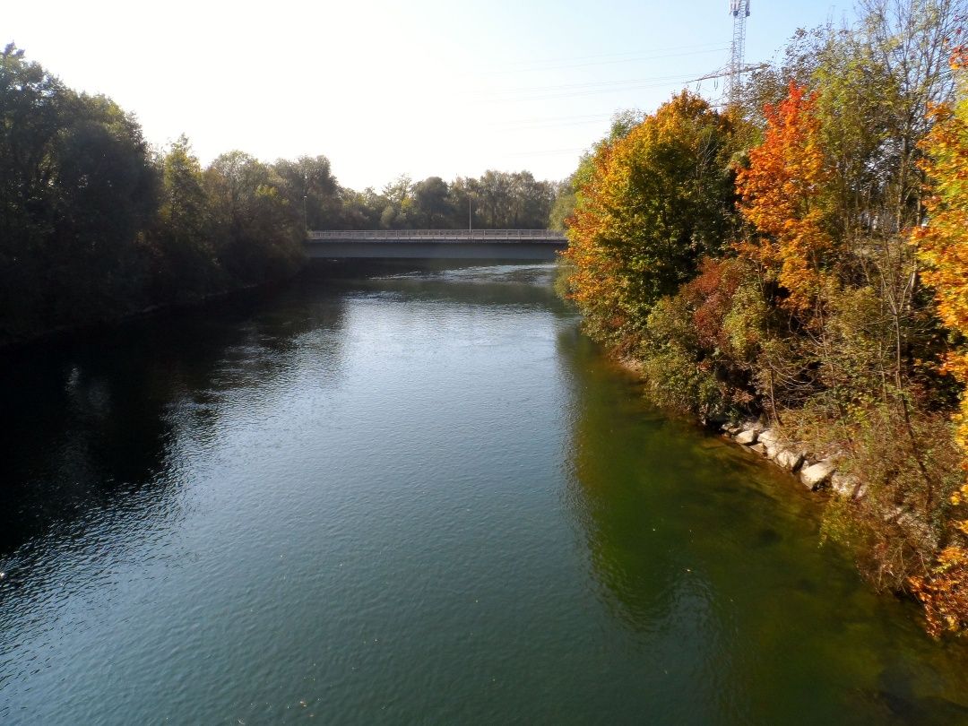 Jauker Creek