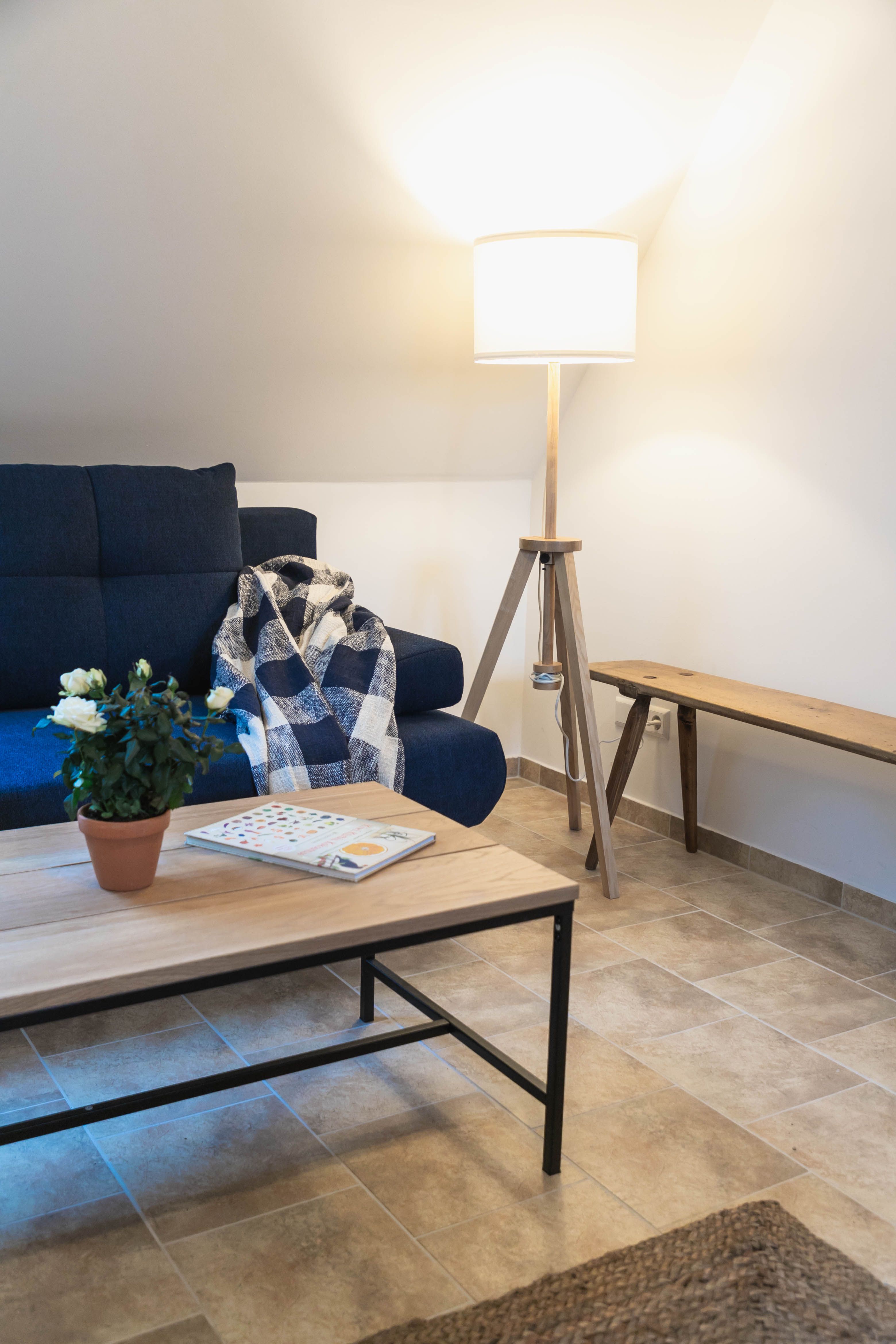 Cozy reading corner with blue sofa, blanket, floor lamp and wooden table with plant and book.