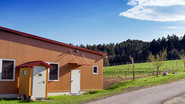 A brown building with an egg vending machine on a green meadow under a blue sky.