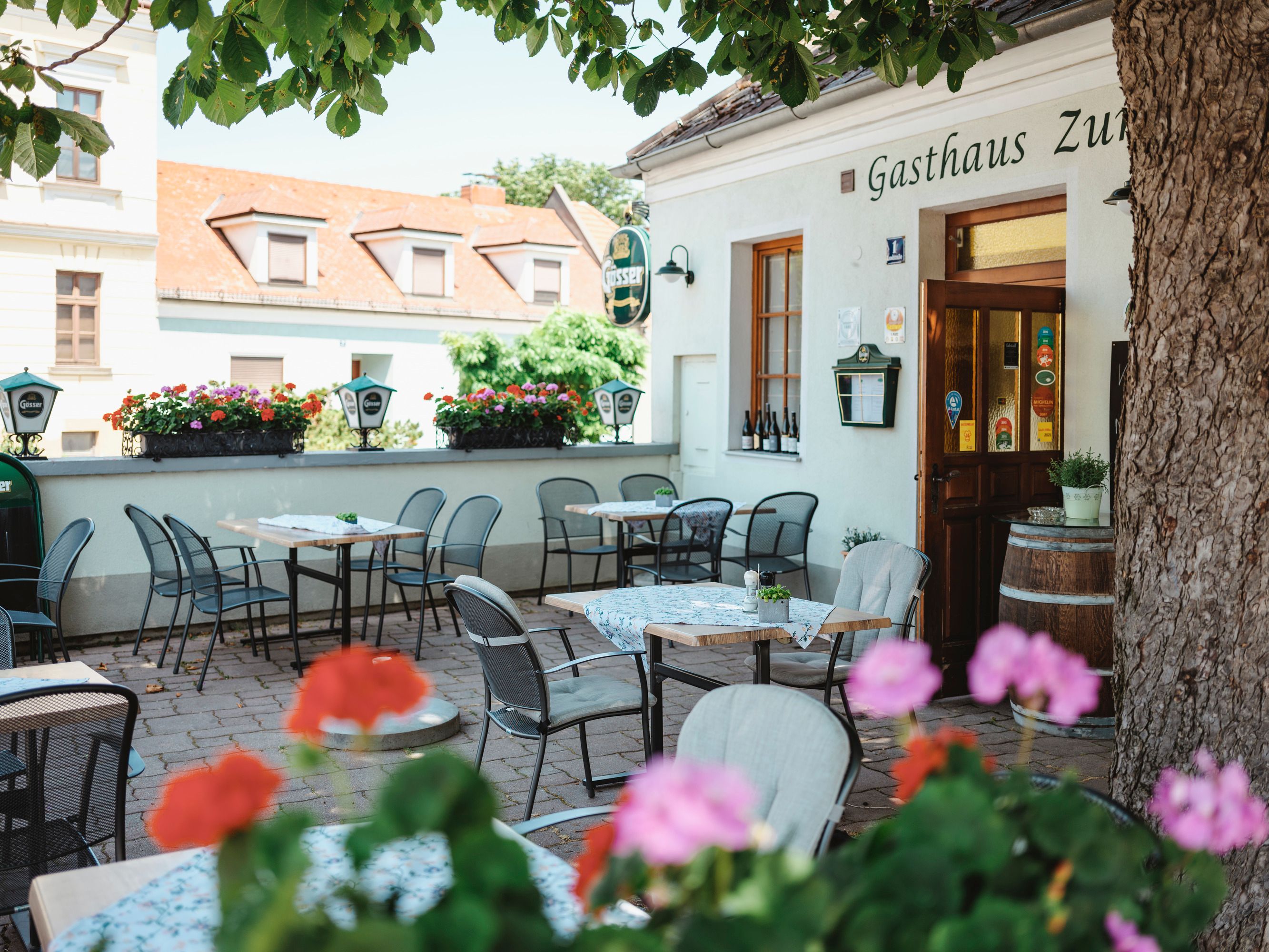 Shady garden with tables and chairs in front of a restaurant.