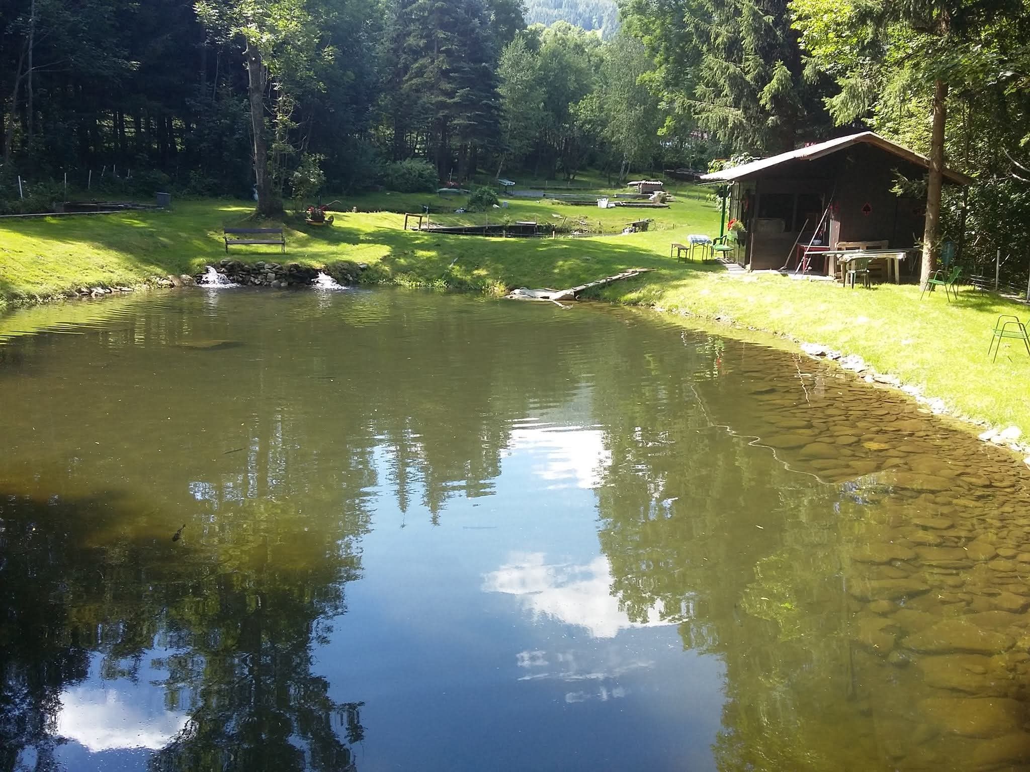 A small fishing pond with clear water, surrounded by green grass and trees. A wooden hut stands on the right bank.
