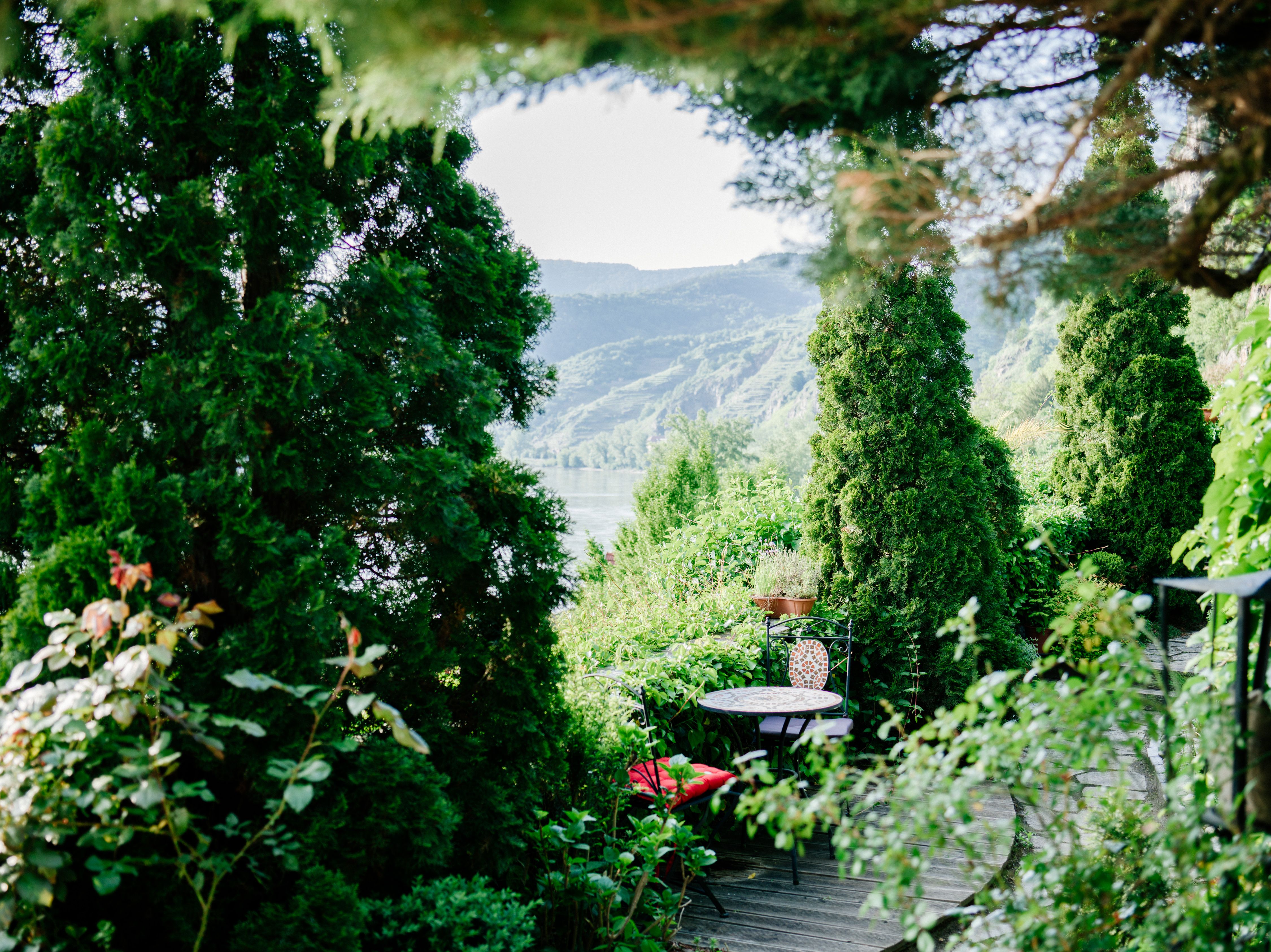 An idyllic garden with table and chairs, surrounded by trees and plants, with a view of a hilly landscape in the background.