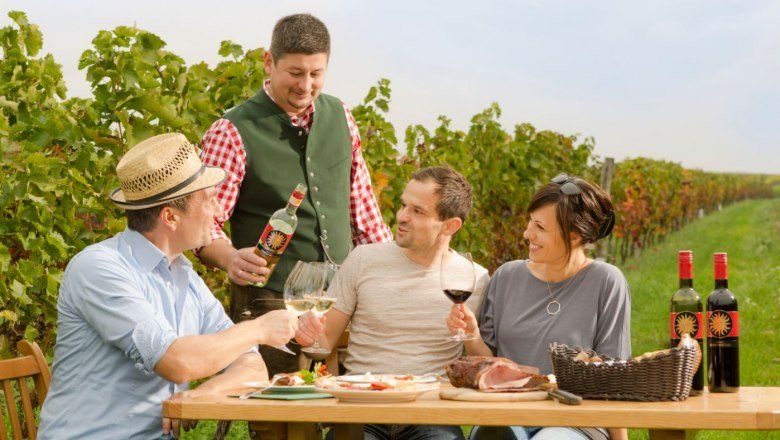 People enjoying wine and food outdoors in a vineyard.