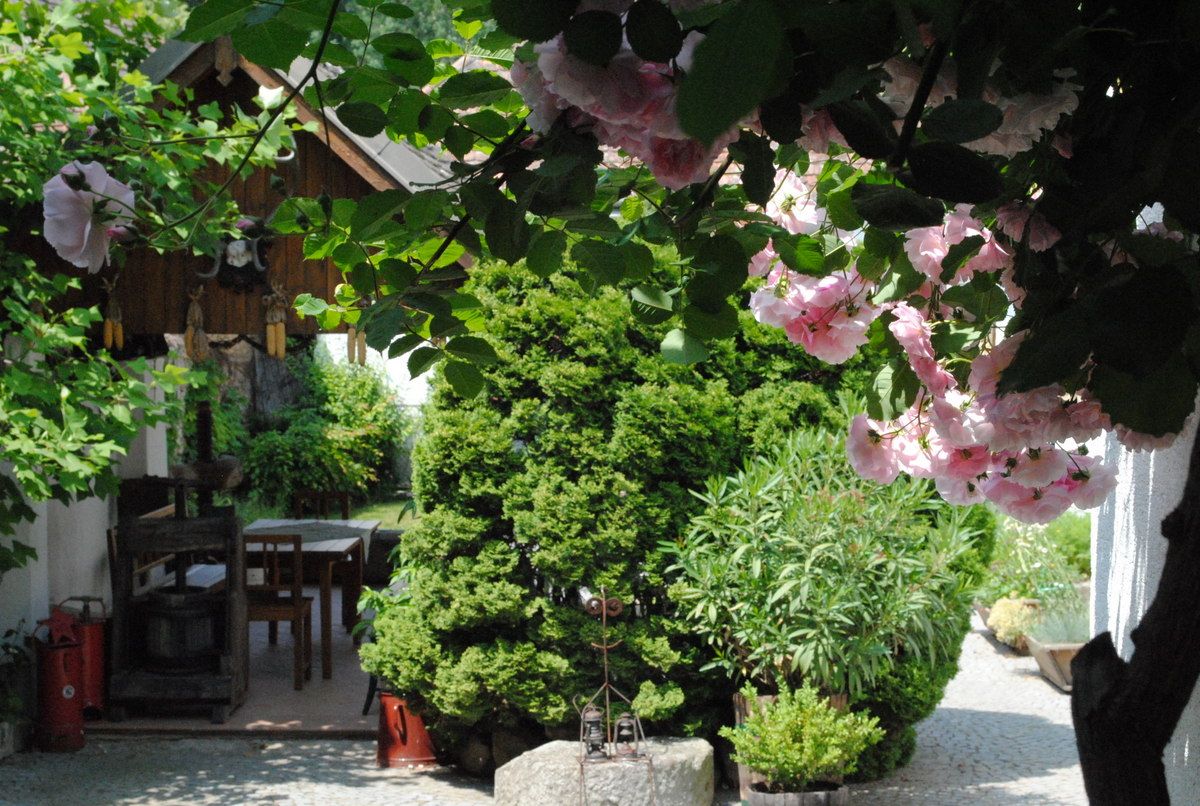 An idyllic garden with blooming roses, a wooden table and a small wooden house in the background.