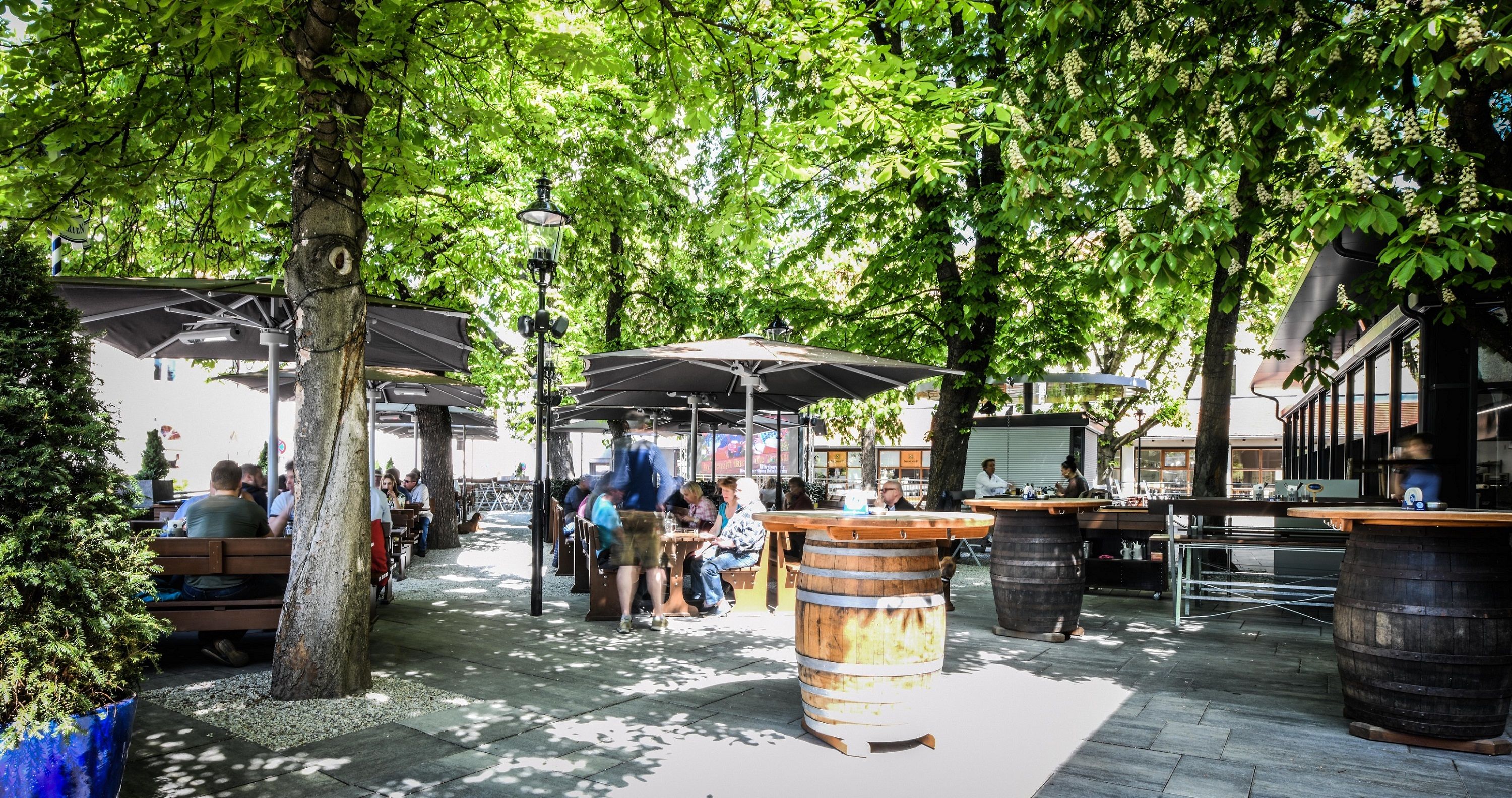 A beer garden with wooden tables and barrels under green trees, people sit and enjoy the atmosphere.