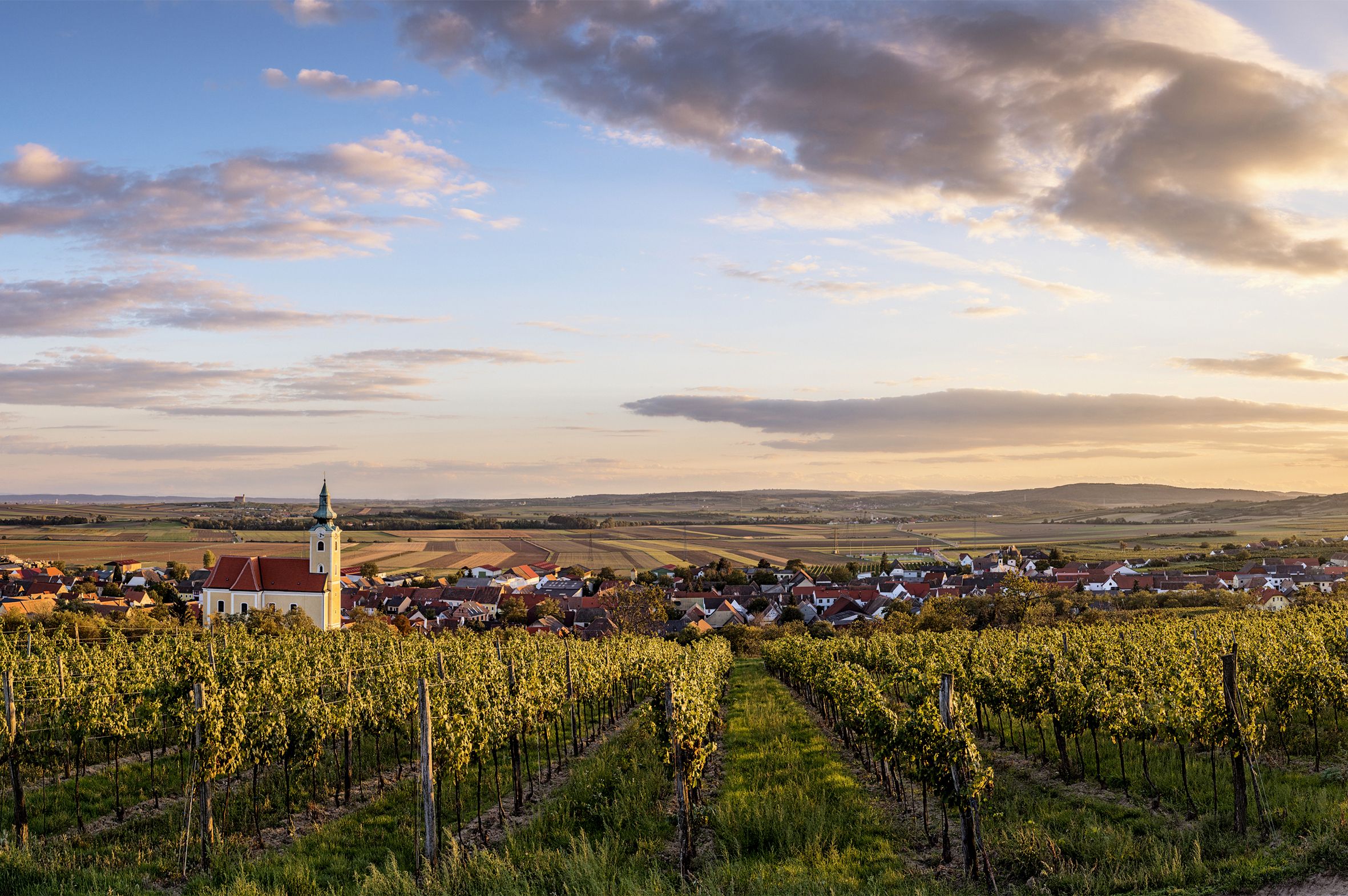 View of Röschitz with church and vineyards in the foreground at sunset.