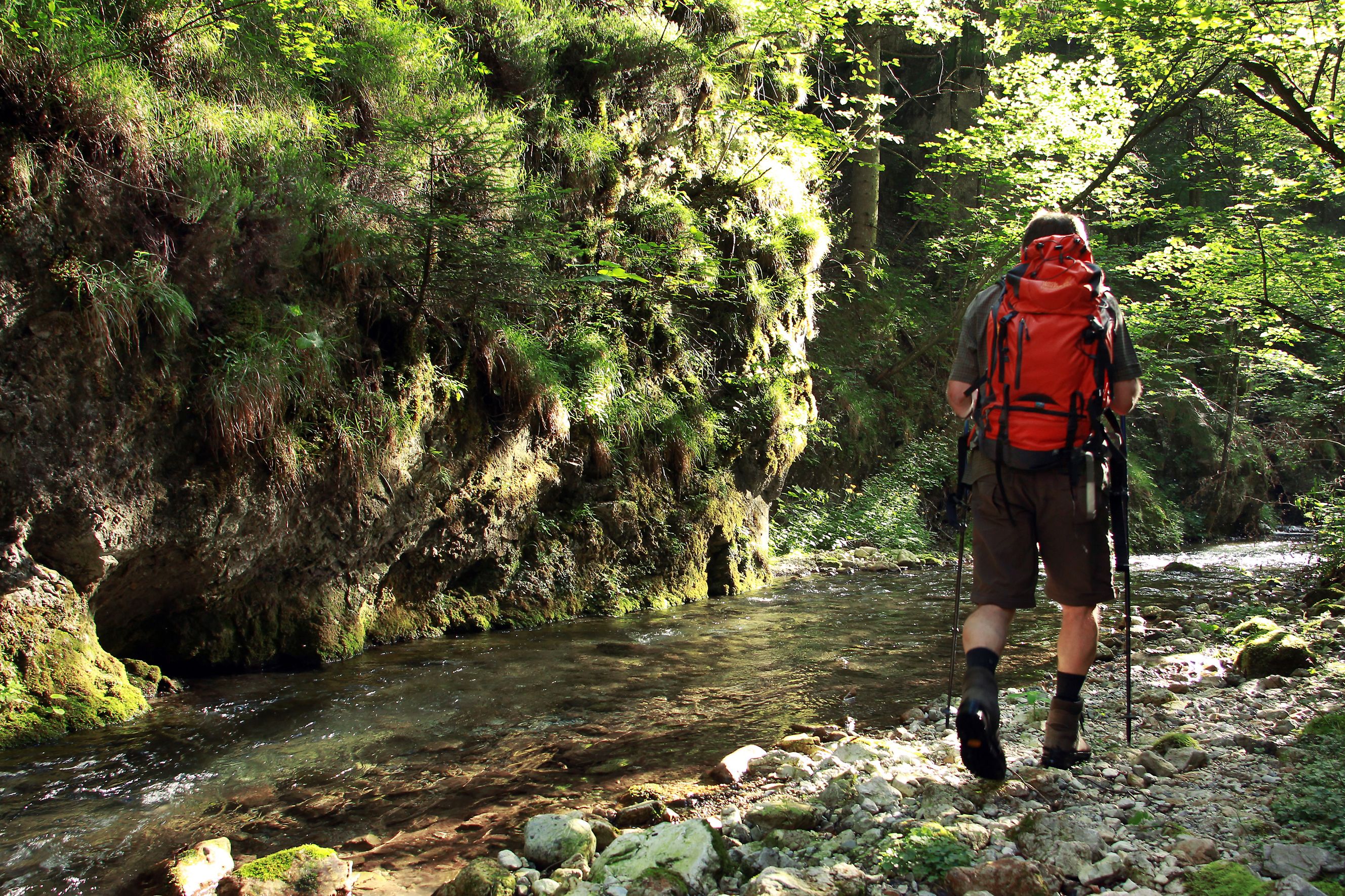 Hiker with a red rucksack in a green gorge next to a stream.