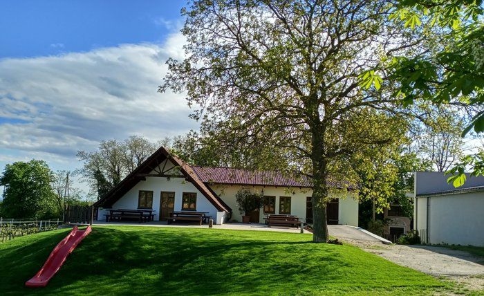 A vineyard with a terrace, trees and a slide in the foreground.