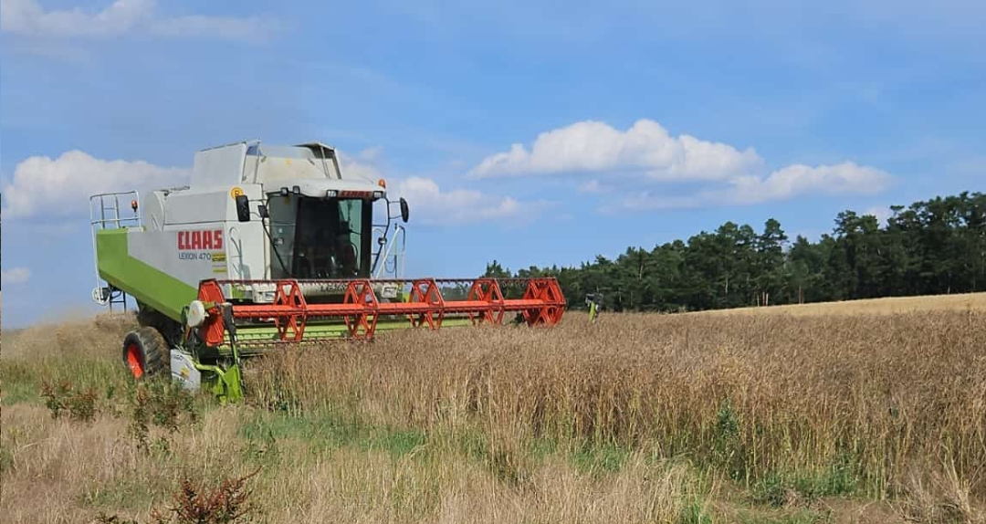 A Claas combine harvester works in a field under a blue sky.
