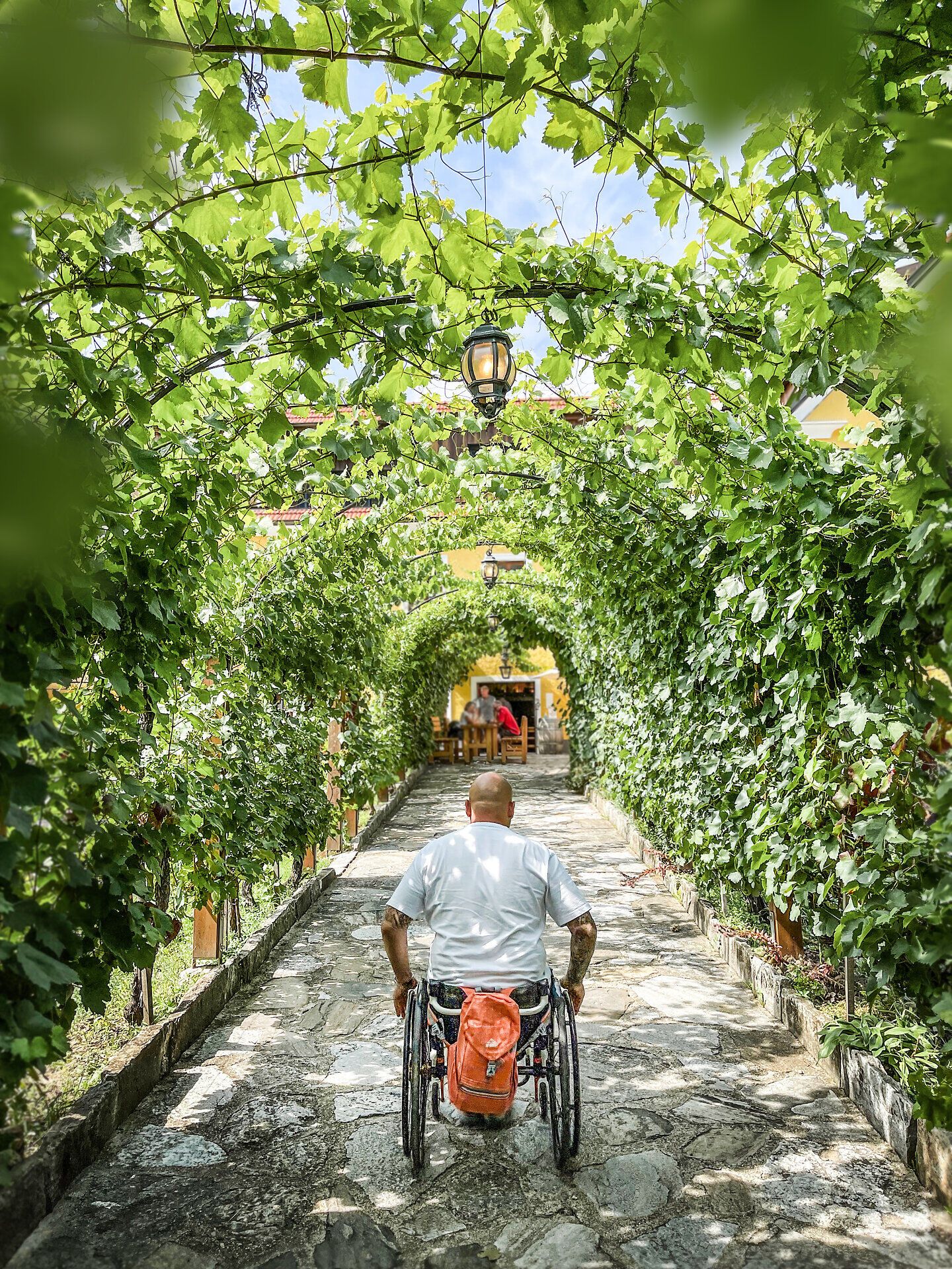 Ein sanfter Weg schlängelt sich durch ein grünes Blätterdach, das von üppigen Weinreben gesäumt ist. Die ruhige Atmosphäre lädt dazu ein, die Natur in vollen Zügen zu genießen und die Seele baumeln zu lassen. Ein Ort, der Barrierefreiheit bietet und jedem die Möglichkeit gibt, die Schönheit der Umgebung zu erleben.