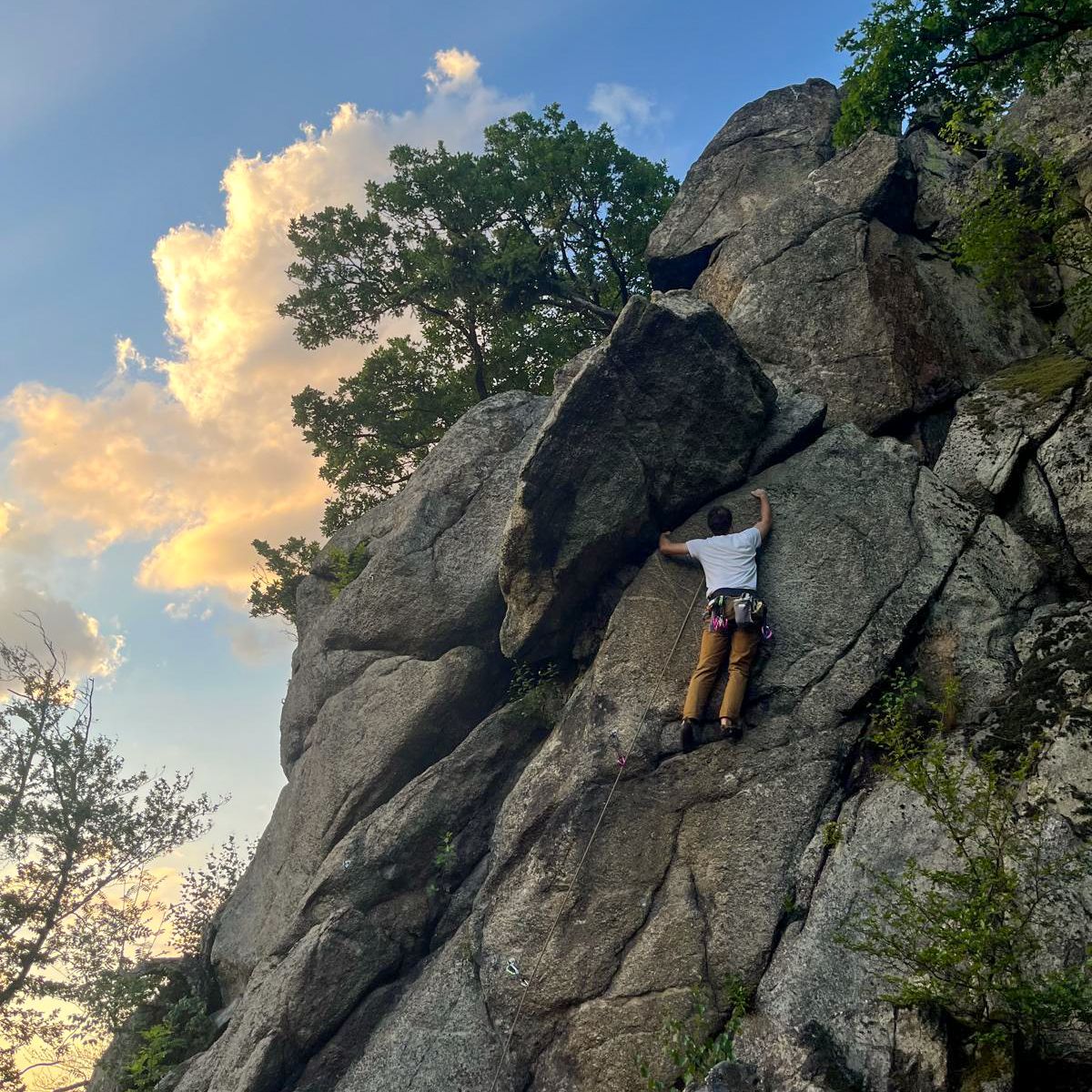 Person climbing on a rock face outdoors, surrounded by trees and blue sky with clouds.