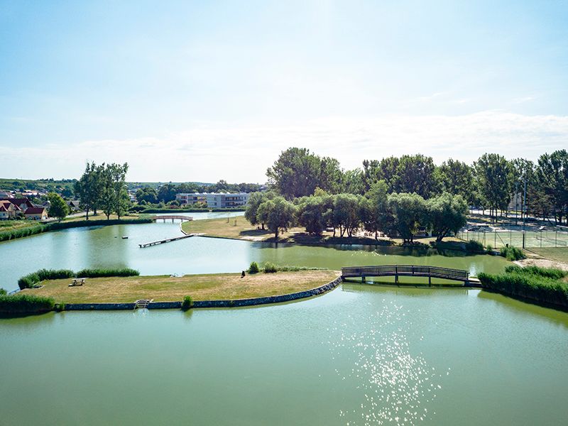 Aerial view of a campsite with pond, bridge and trees.