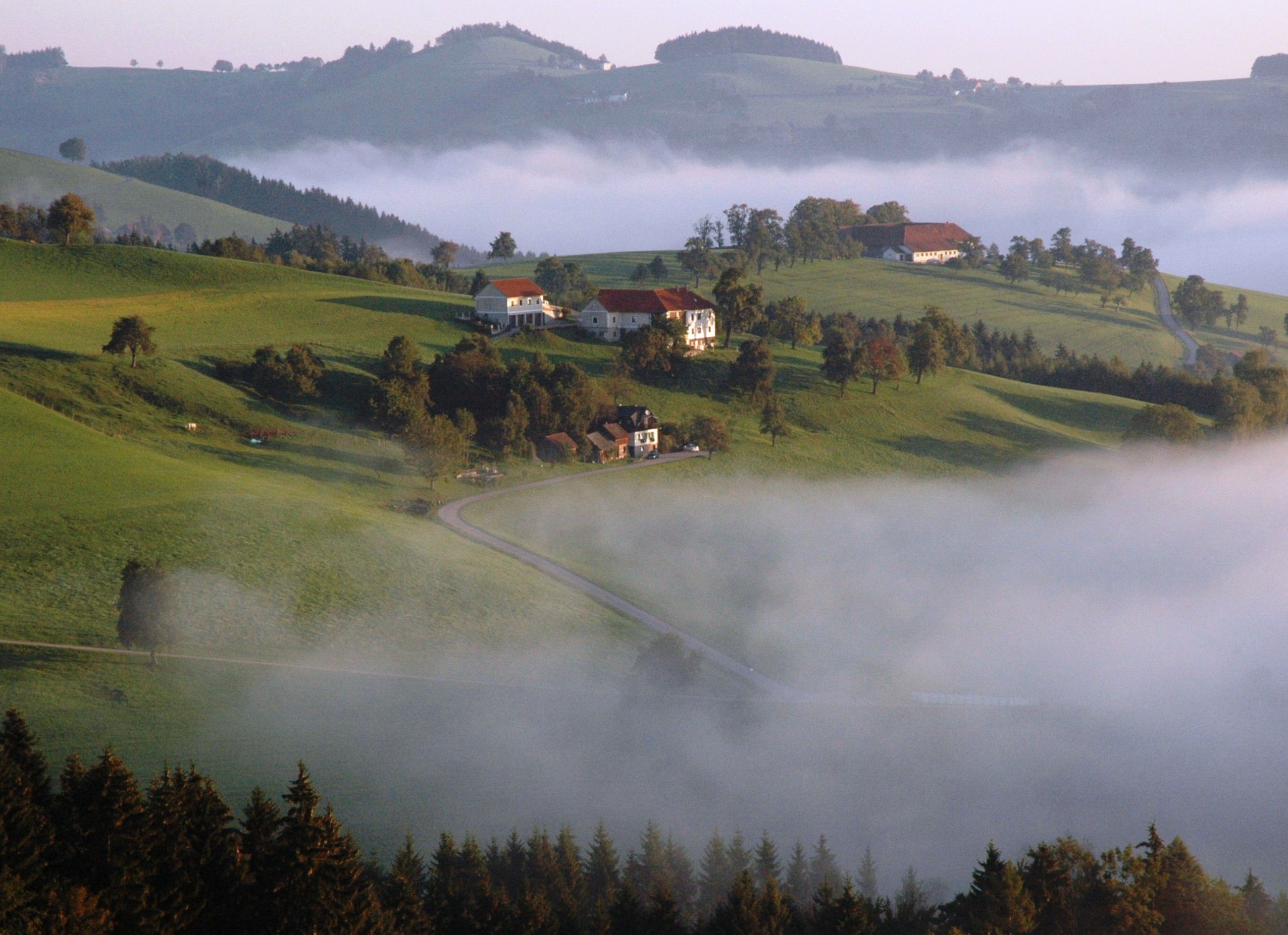 Autumn landscape with green hills, scattered houses and fog.